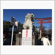 新春　第二弾！