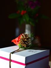 2014☆おめでとうございます（＾-＾）v