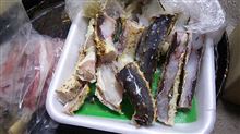 冬の休暇inまつやま 冬の休暇inまつやま