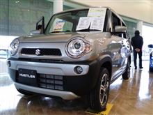 ハスラー、実車確認。