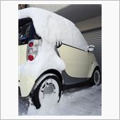 豪雪(Ｔ＿Ｔ)