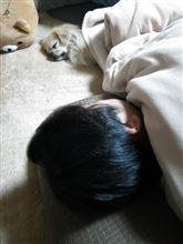 おと～さんと一緒♪