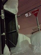 ほぼ毎日