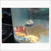家族が増えました！