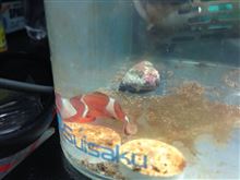 家族が増えました！