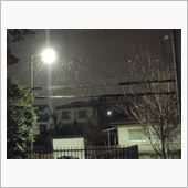 名古屋は雪です
