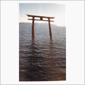 もちろん広島の安芸の宮島(&gt; ...