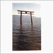 もちろん広島の安芸の宮島(&gt;_&lt;)