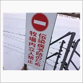 デミオで激走