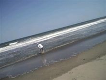 Jくん&#215;海