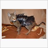 新型猫用防具