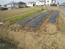 ようやく、履き替えました。