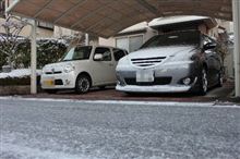雪だけなら～ね。＞＜