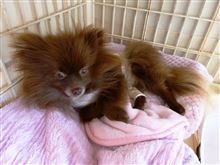 久しぶり・・・