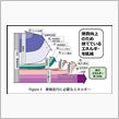 燃費が良くなければ車は売れない！？