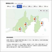 お願いします、もうお願いしま ...