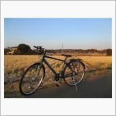 久々の自転車復活