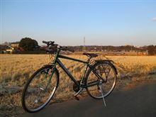 久々の自転車復活