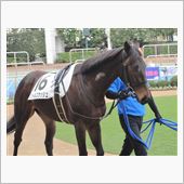 残念、デビュー戦飾れず