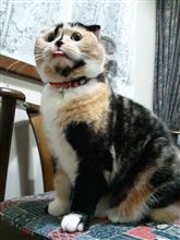 トラブルは忘れた頃に… トラブルは忘れた頃に…