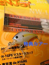 ラッキークラフトの会員継続はラッキー？