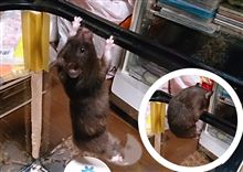 不満…?