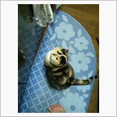 素敵な贈り物♪♪♪♪♪♪♪