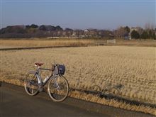 今日の午後走り