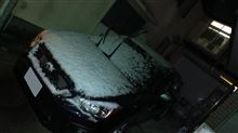 ホント関東の雪は長続きしないよな～