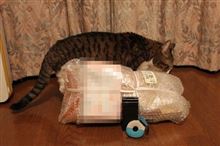 数日前ですがぁ～！ｍ（　）ｍ あざっす