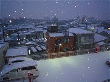 あーっ、雪・・・・・