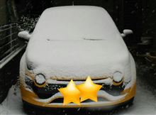 ほんとに雪だ～   w(゜o゜)w