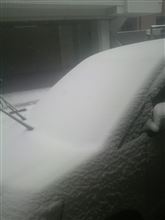 雪です