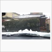 流行の