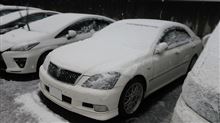スノーSSキターッ！？