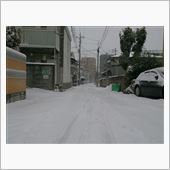 まだまだ降り続く。。。(￣x ...