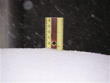 25cm なう