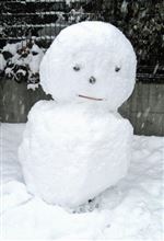 まだまだ降ってまっせ〜(&gt;_&lt;)