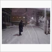 きりが無い・・・ミ(ノ;_  ...