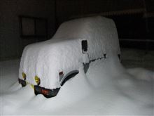 ここまで降るとは