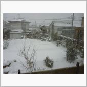 今日はお家で～
