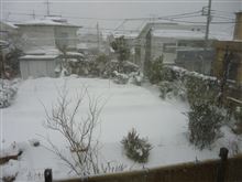 今日はお家で～