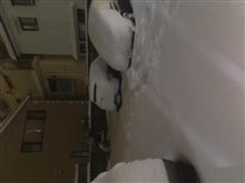 東京での、大雪やめて