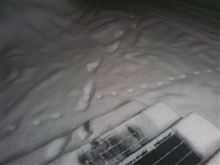 さあ　ナイター雪かきしようぜ
