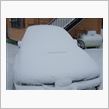 記録的の雪