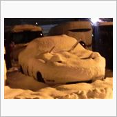 大雪は嫌いです