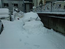 雪かき完了～(￣∇￣*)ゞ