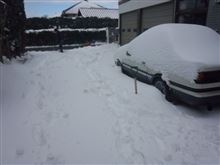 成長した姿