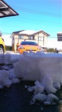 努力はしたんです