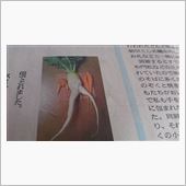 昨日の新聞